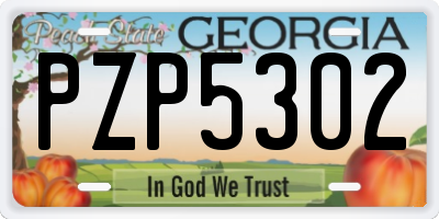 GA license plate PZP5302