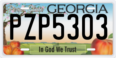 GA license plate PZP5303