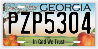 GA license plate PZP5304