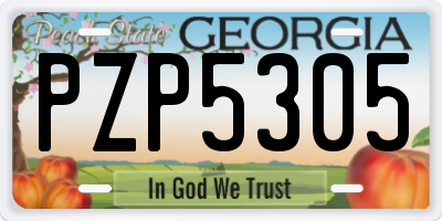 GA license plate PZP5305