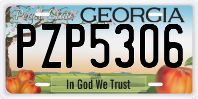GA license plate PZP5306