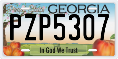 GA license plate PZP5307