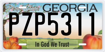 GA license plate PZP5311