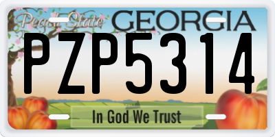 GA license plate PZP5314