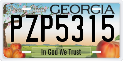 GA license plate PZP5315