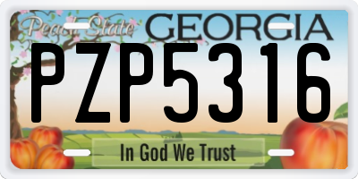 GA license plate PZP5316