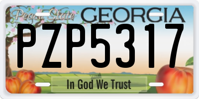 GA license plate PZP5317