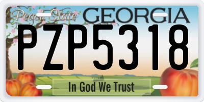 GA license plate PZP5318