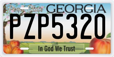 GA license plate PZP5320