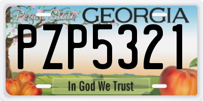GA license plate PZP5321