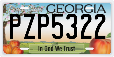 GA license plate PZP5322