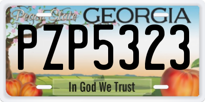 GA license plate PZP5323