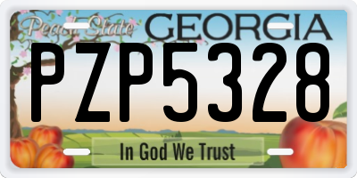 GA license plate PZP5328