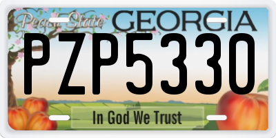 GA license plate PZP5330