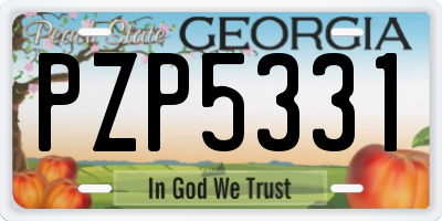 GA license plate PZP5331