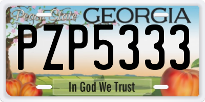 GA license plate PZP5333