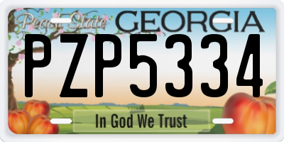 GA license plate PZP5334