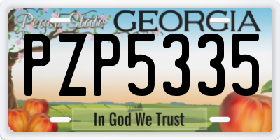 GA license plate PZP5335
