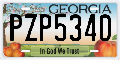 GA license plate PZP5340