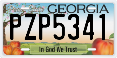 GA license plate PZP5341