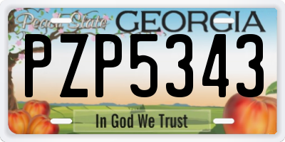 GA license plate PZP5343