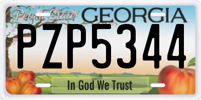 GA license plate PZP5344