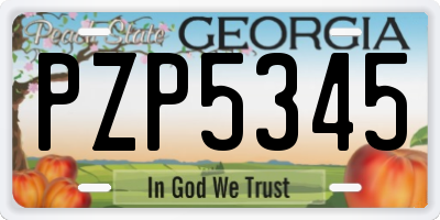 GA license plate PZP5345