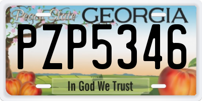 GA license plate PZP5346