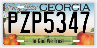 GA license plate PZP5347