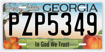 GA license plate PZP5349