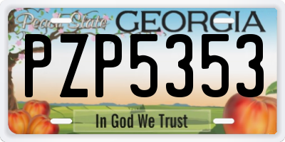GA license plate PZP5353