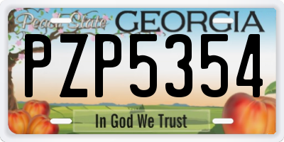 GA license plate PZP5354