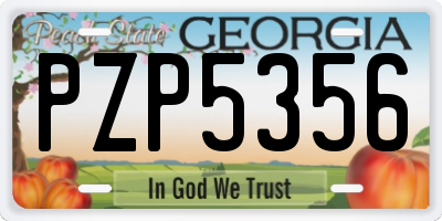 GA license plate PZP5356