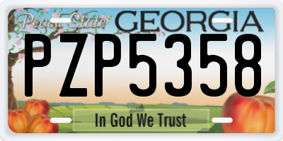 GA license plate PZP5358