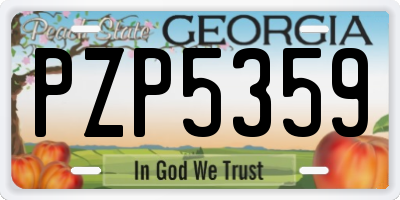 GA license plate PZP5359