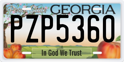 GA license plate PZP5360