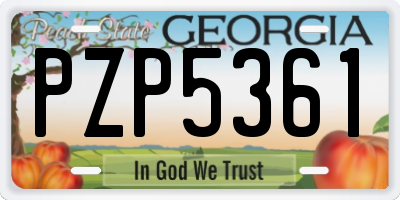 GA license plate PZP5361