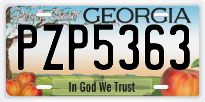 GA license plate PZP5363