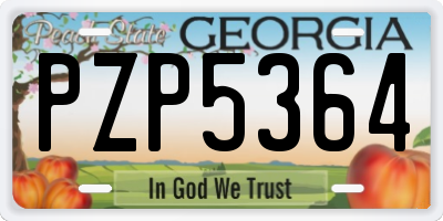 GA license plate PZP5364