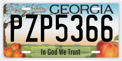 GA license plate PZP5366