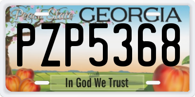 GA license plate PZP5368