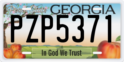 GA license plate PZP5371