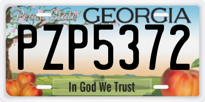 GA license plate PZP5372