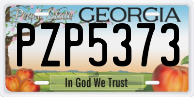 GA license plate PZP5373