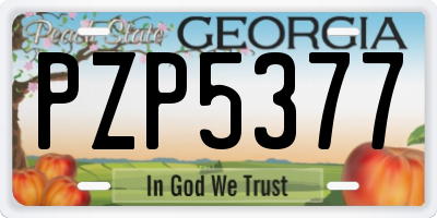 GA license plate PZP5377