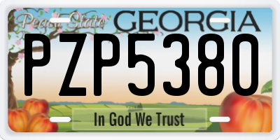 GA license plate PZP5380