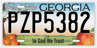 GA license plate PZP5382