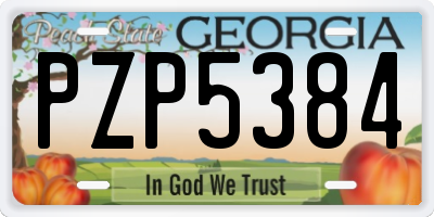 GA license plate PZP5384