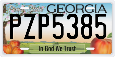 GA license plate PZP5385