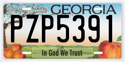 GA license plate PZP5391